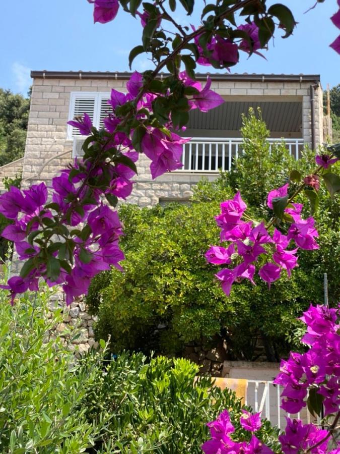 Charming Seafront Stay At Villa Mara Dubrovnik Ngoại thất bức ảnh